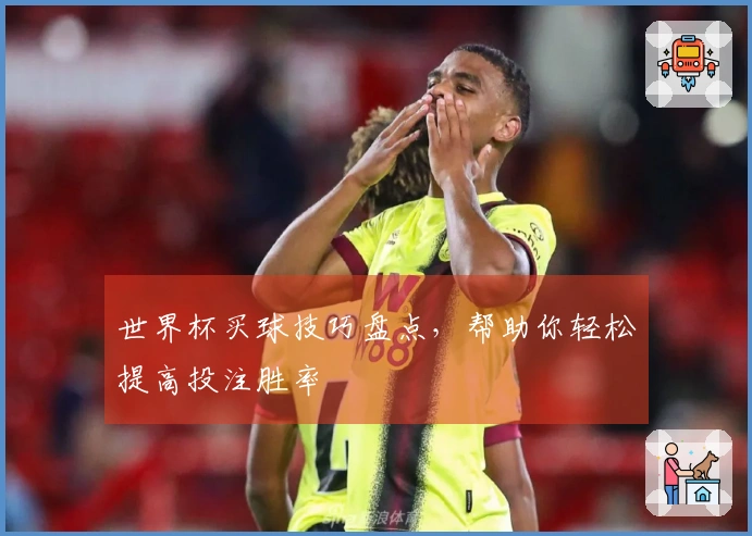 世界杯买球技巧盘点，帮助你轻松提高投注胜率
