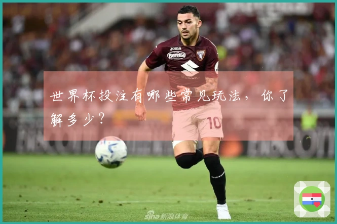 世界杯投注有哪些常见玩法，你了解多少？
