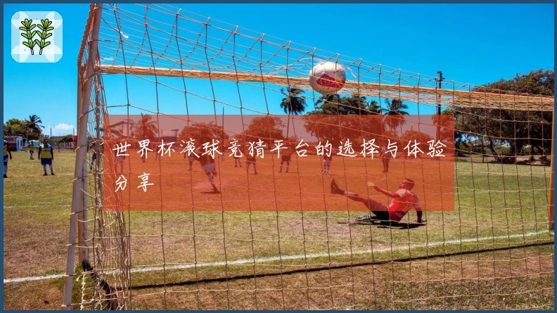 世界杯滚球竞猜平台的选择与体验分享