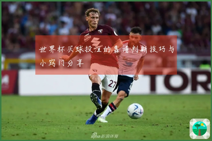 世界杯买球投注的靠谱判断技巧与小窍门分享