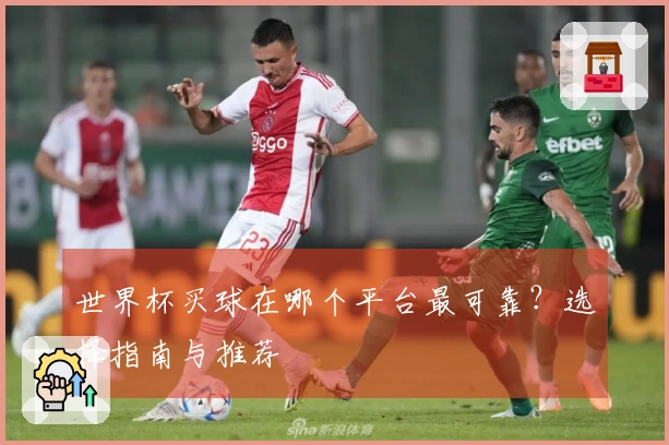 世界杯买球在哪个平台最可靠？选择指南与推荐