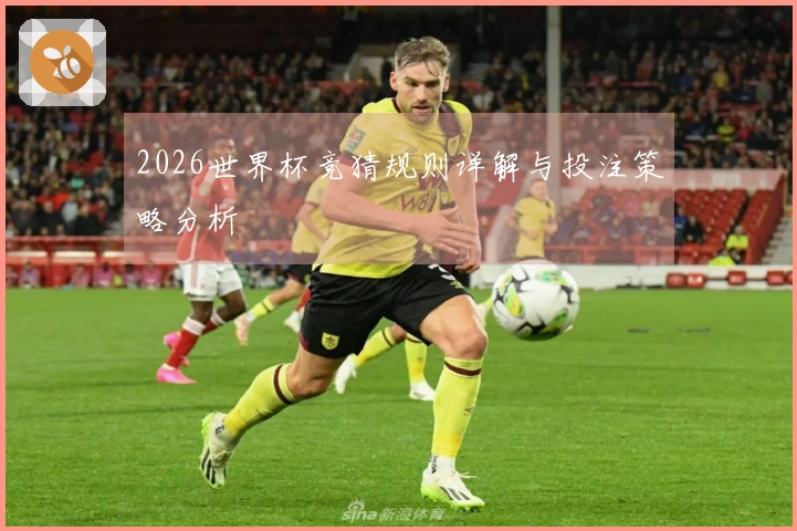 2026世界杯竞猜规则详解与投注策略分析
