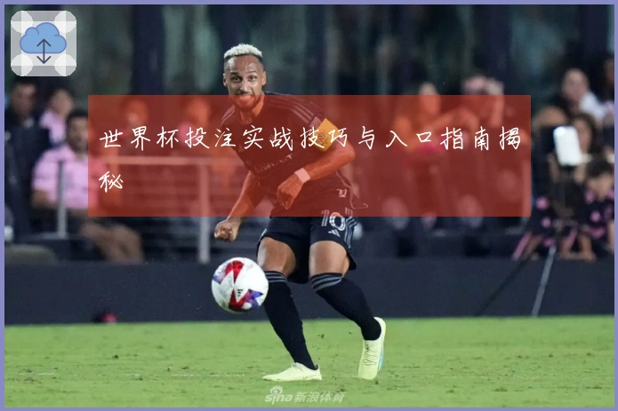 世界杯投注实战技巧与入口指南揭秘