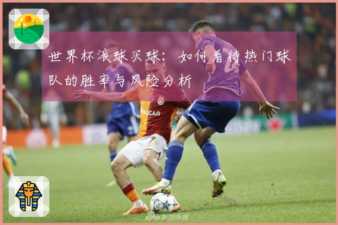 世界杯滚球买球：如何看待热门球队的胜率与风险分析