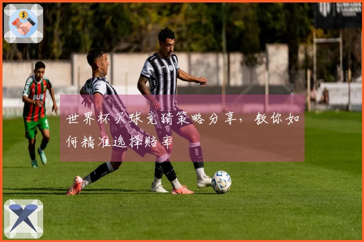 世界杯买球竞猜策略分享，教你如何精准选择赔率