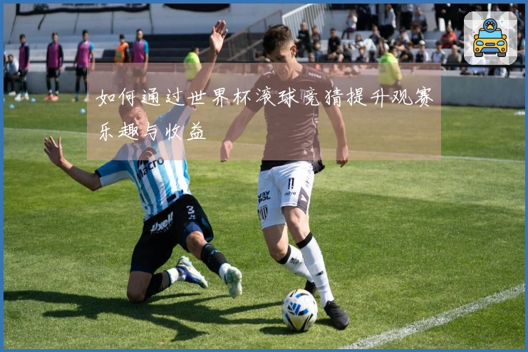 如何通过世界杯滚球竞猜提升观赛乐趣与收益