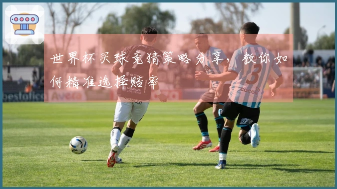 世界杯买球竞猜策略分享，教你如何精准选择赔率