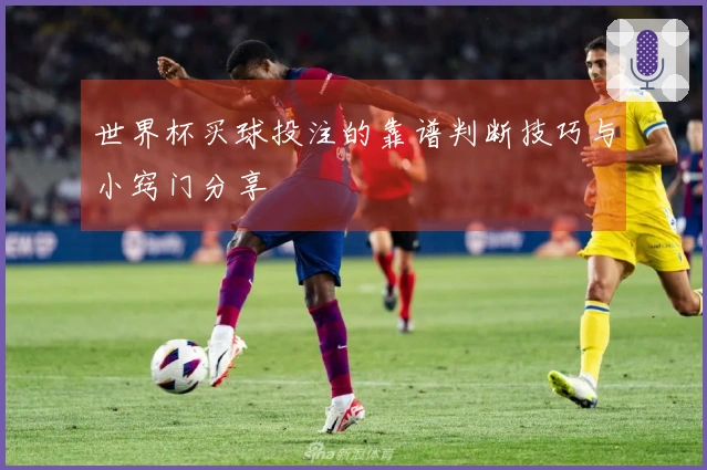 世界杯买球投注的靠谱判断技巧与小窍门分享