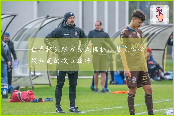世界杯买球方式大揭秘，盘点你必须知道的投注技巧