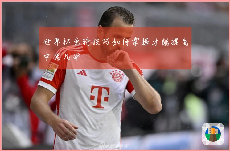 世界杯竞猜技巧如何掌握才能提高中奖几率